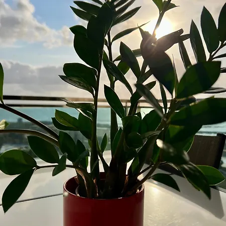 Apartament Oceanview La Manga del Mar Menor