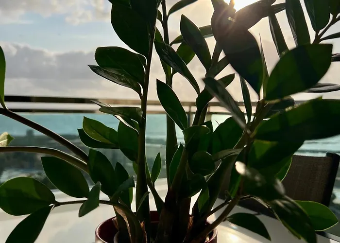 Апартаменти Oceanview Ла-Манга-дель-Мар-Менор